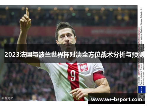 2023法国与波兰世界杯对决全方位战术分析与预测