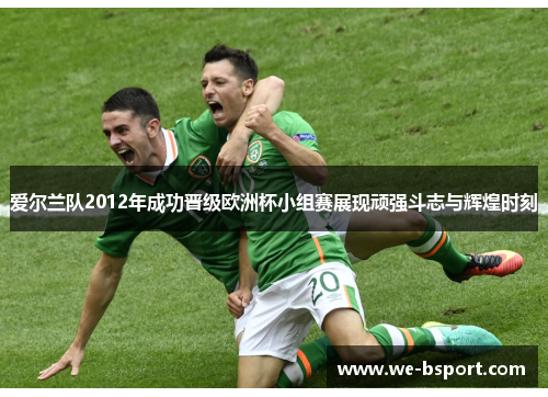 爱尔兰队2012年成功晋级欧洲杯小组赛展现顽强斗志与辉煌时刻