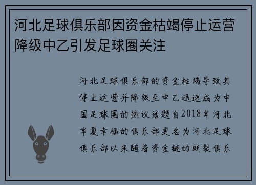 河北足球俱乐部因资金枯竭停止运营降级中乙引发足球圈关注